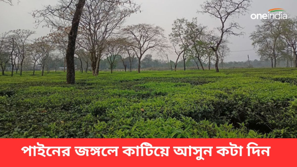 Sirankothi Gaon