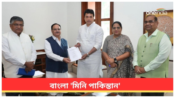 bjp report bjp report