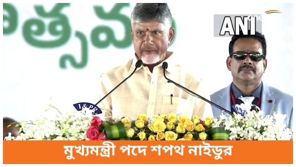 n chandrababu naidu