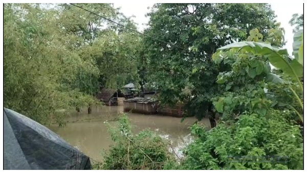 North Bengal Flood Situation