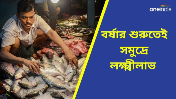 hilsa