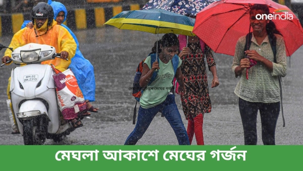 Rain Rain