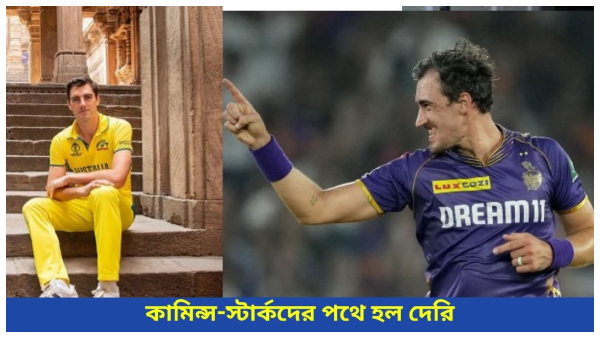 Pat Cummins Pat Cummins