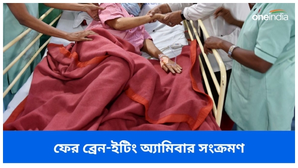 brain eating amoeba brain eating amoeba