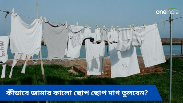 cloth cloth