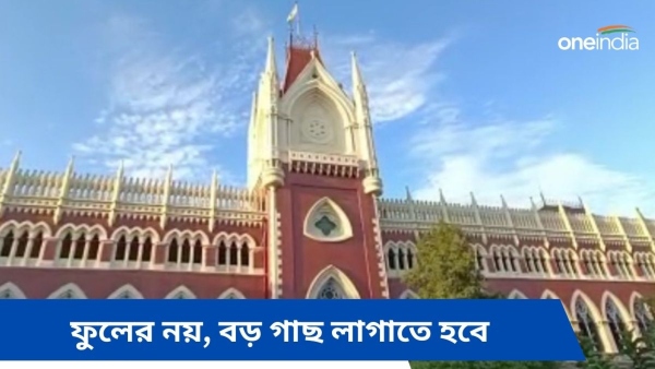 High court High court