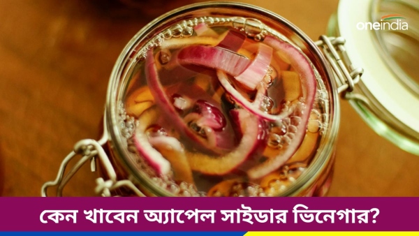 vinegar vinegar