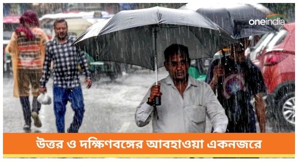 weather weather