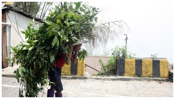 Durga Puja Durga Puja