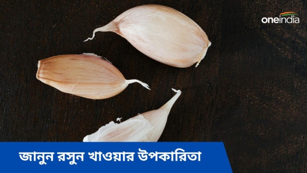 garlic