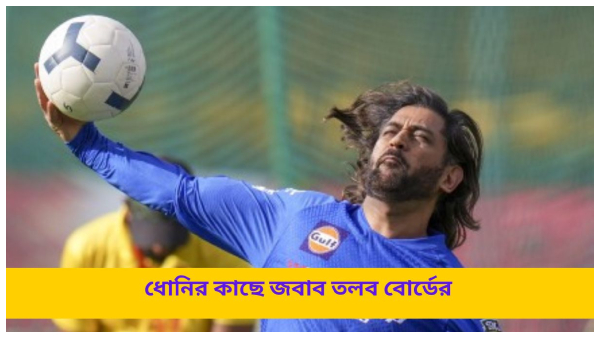 MS Dhoni MS Dhoni