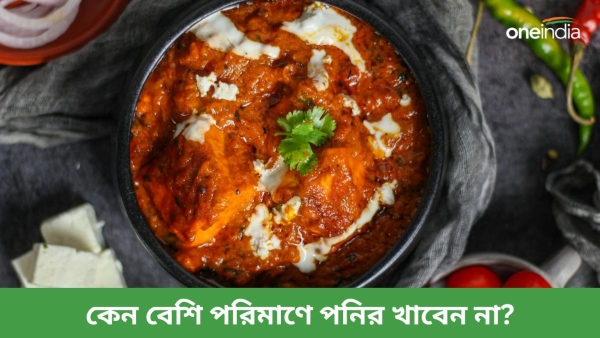 Paneer Paneer