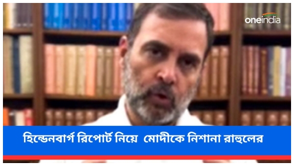 Rahul Gandhi hindenburg