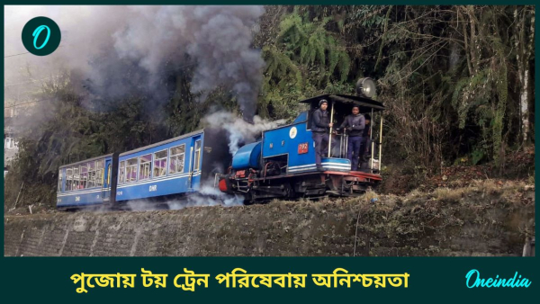 darjeeling toy train