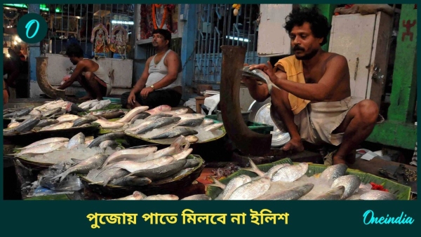 hilsa hilsa