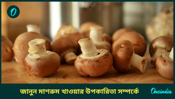 mushroom mushroom