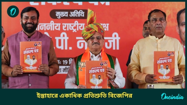 Haryana Assembly Election 2024
