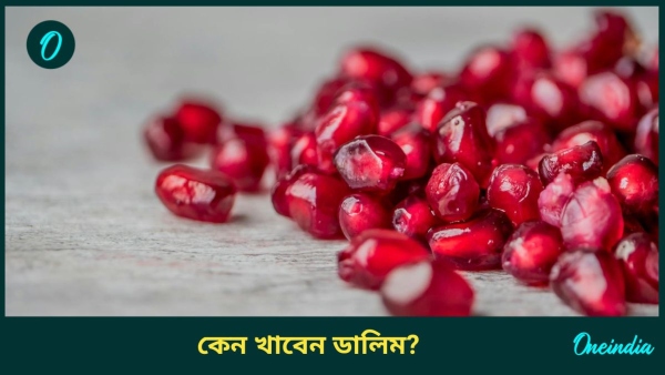 pomegranate pomegranate