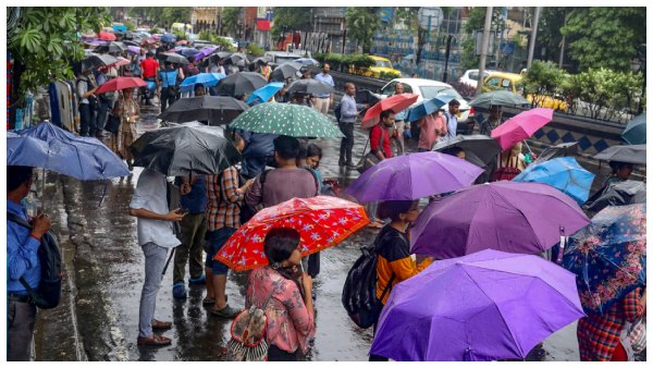 Rain in west bengal