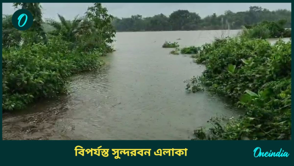 Weather Rain