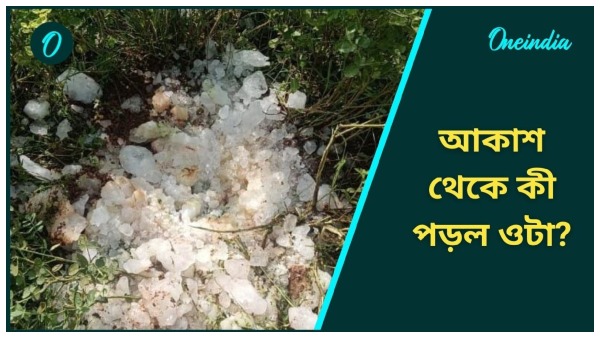 West Bengal News West Bengal News