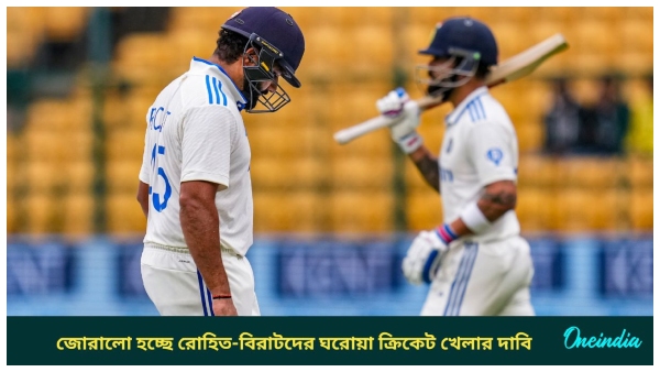 domestic cricket domestic cricket