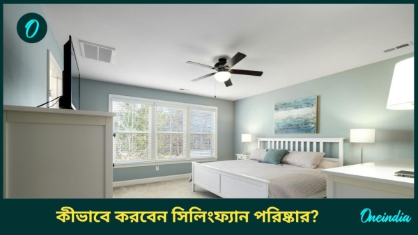cleaning ceiling fan cleaning ceiling fan