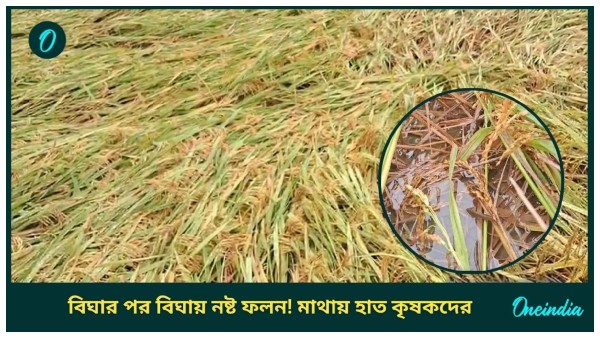 Cyclone Dana West Bengal Effect Cyclone Dana West Bengal Effect