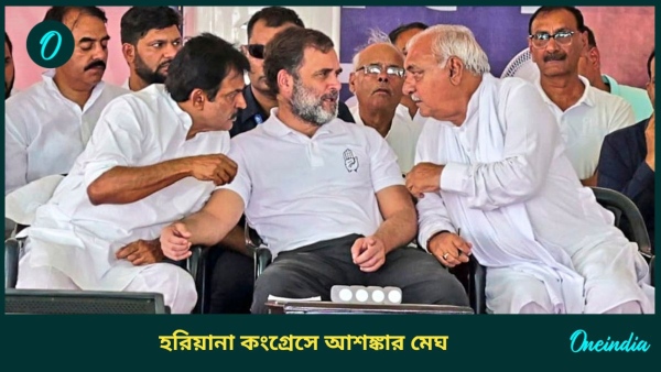 Rahul gandhi in haryana