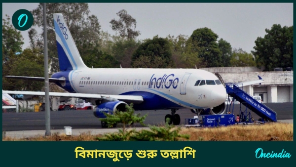 IndiGo IndiGo