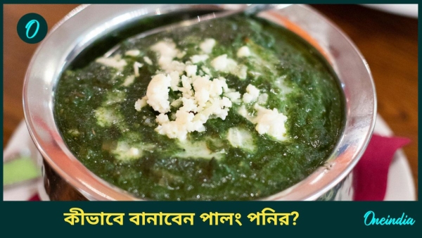 palak paneer