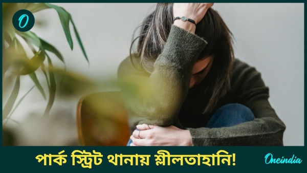 Park Street Incident