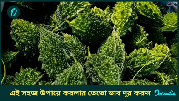 bitter gourd bitter gourd