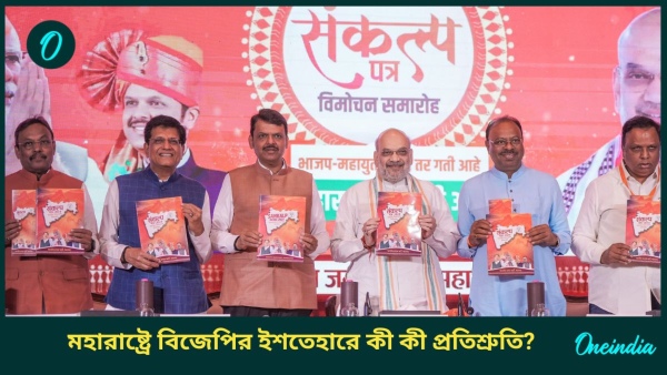 bjp manifesto