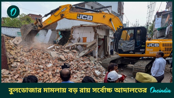 Bulldozer Case