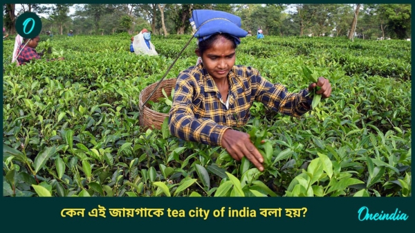 Tea city of India Tea city of India