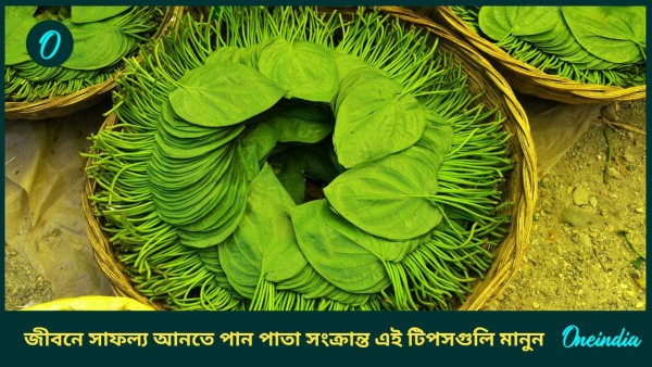 paan leaf