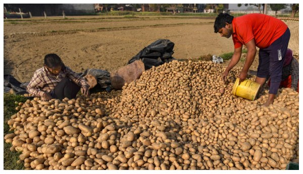 West Bengal News