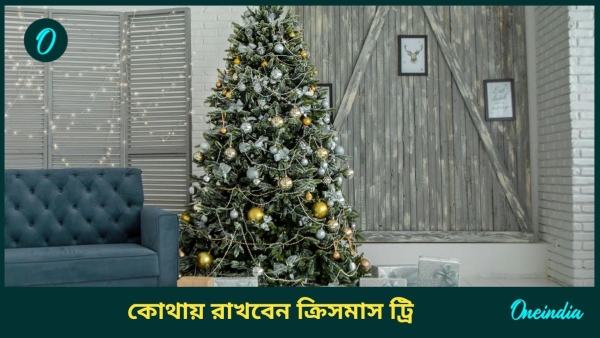 christmas tree christmas tree