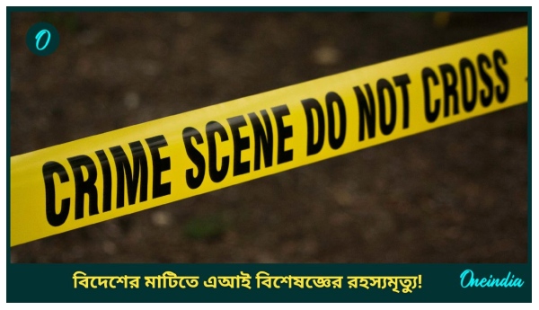 Indo-American AI Expart