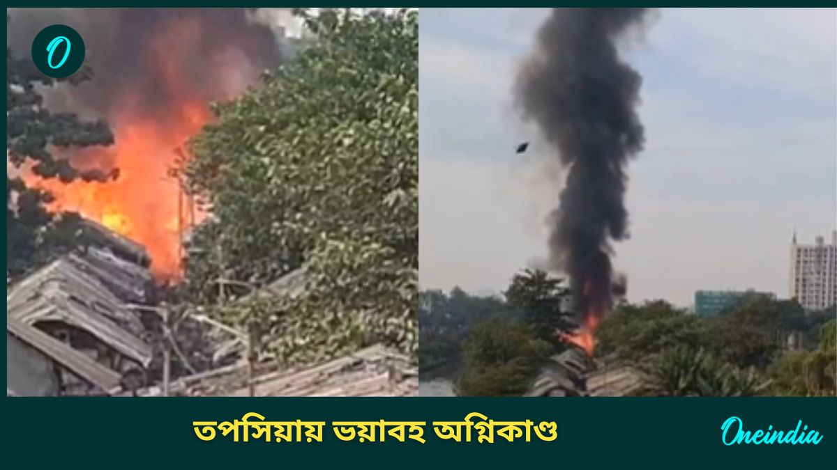 Topsia Fire: ফের তপসিয়ায় ভয়াবহ অগ্নিকাণ্ড, কালো ধোঁয়ায় ঢাকল ...