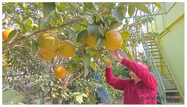 Startup Ideas For Women