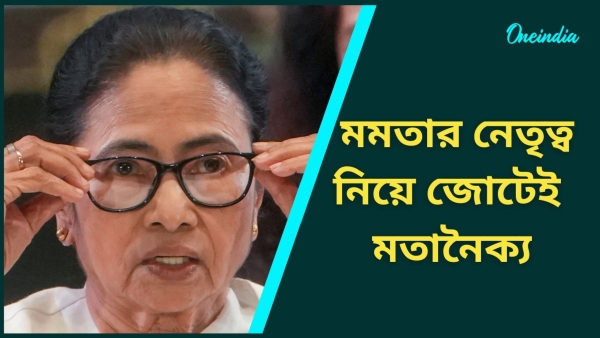 Mamata On INDIA Mamata On INDIA