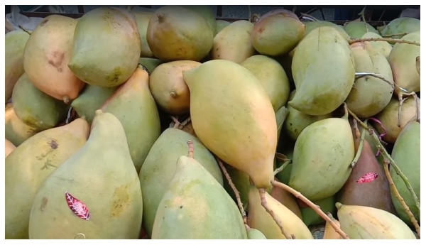 North Bengal News North Bengal News