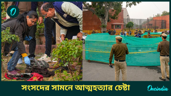 Incident Near Parliament