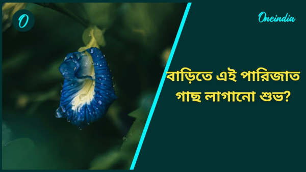 Aparajita