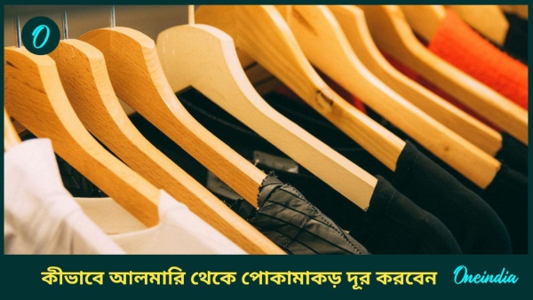 cloths cloths
