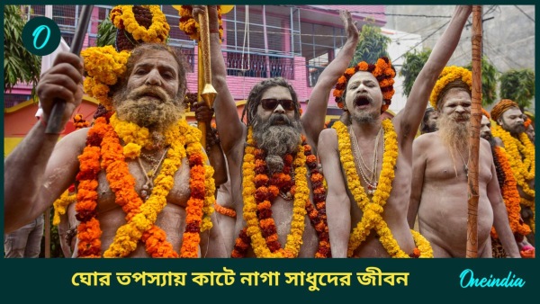 Naga Sadhu