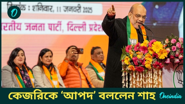 Delhi Assembly Election 2025