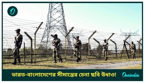 International Mother Language Day International Mother Language Day